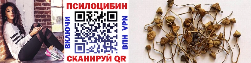 Галлюциногенные грибы MAGIC MUSHROOMS  Щёлково 